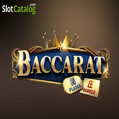 bet99 ব্যাকারেট C08